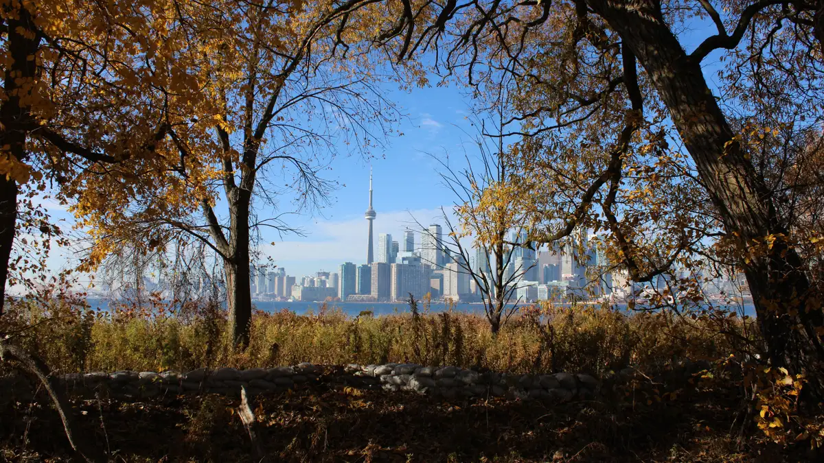 Toronto skyline in autumn; federal credit card rules apply in every province